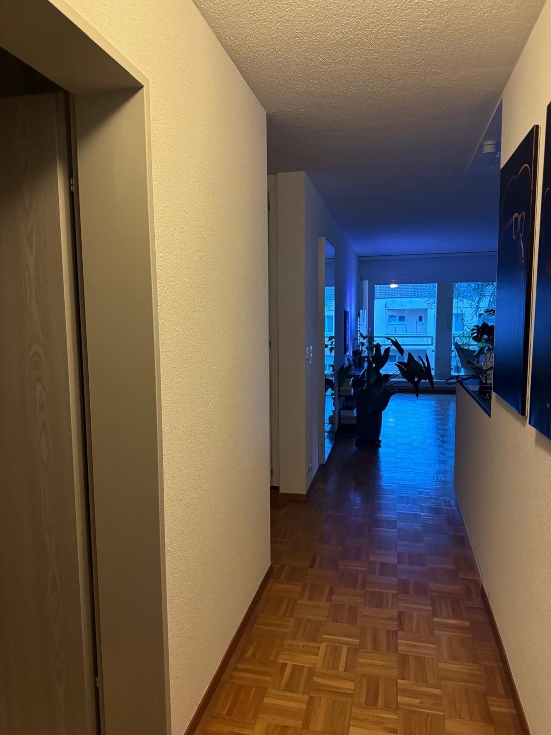 Room in a shared flat