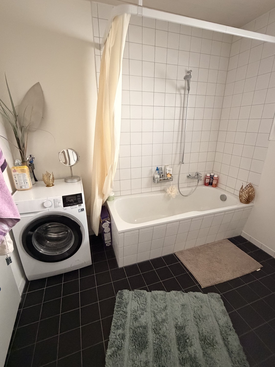 Appartement de 3 ½ pièces