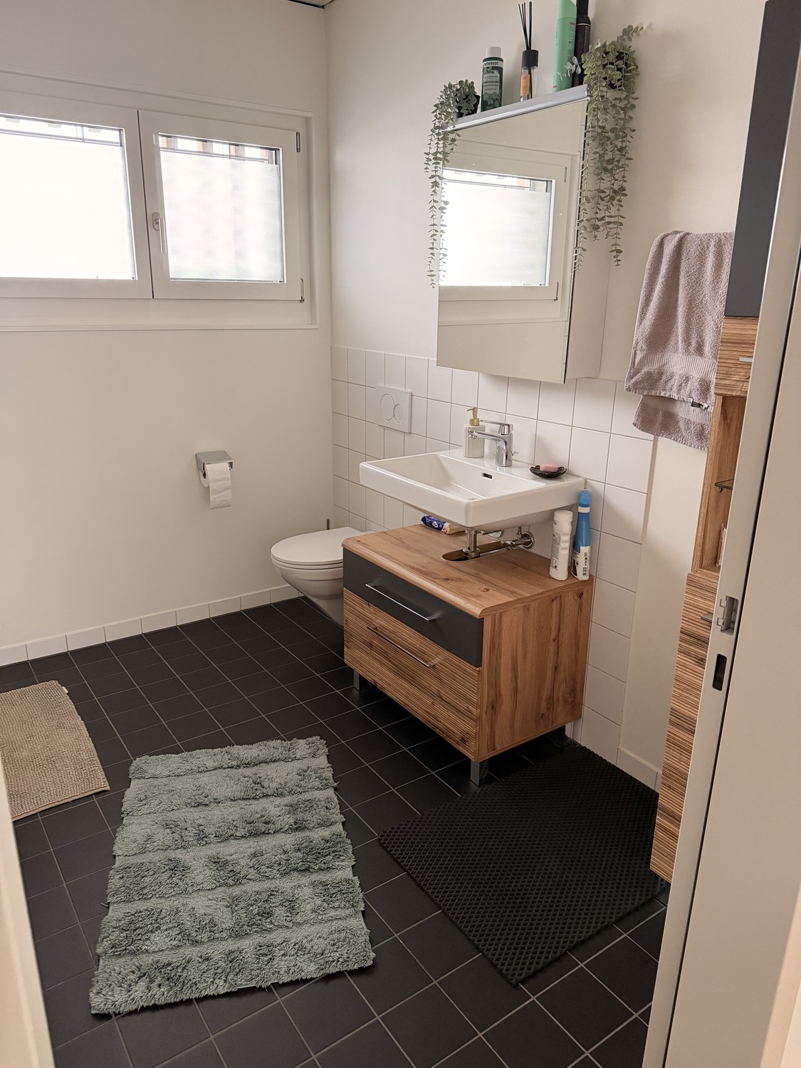 Appartement de 3 ½ pièces