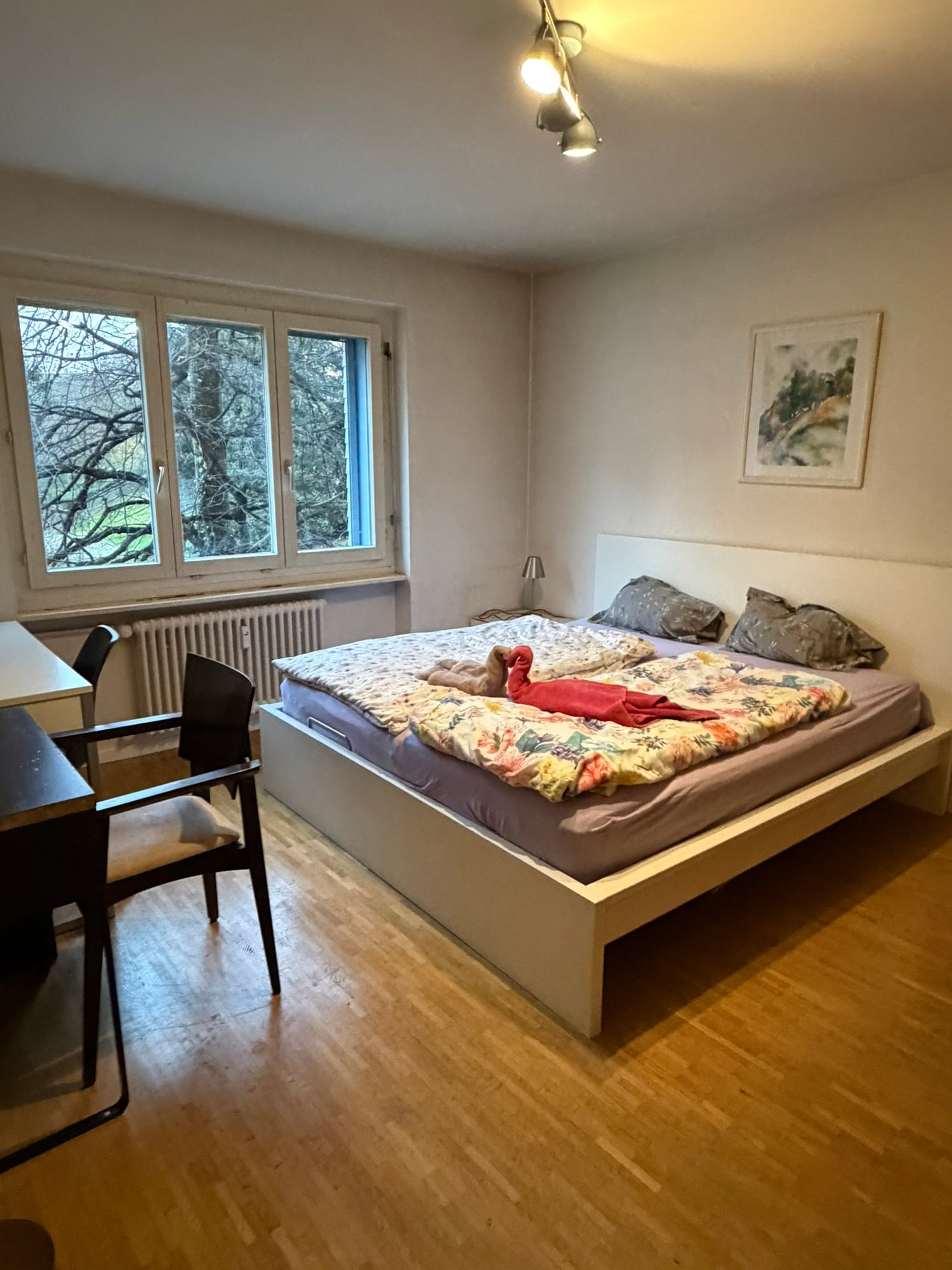 Appartement meublé de 2 ½ pièces