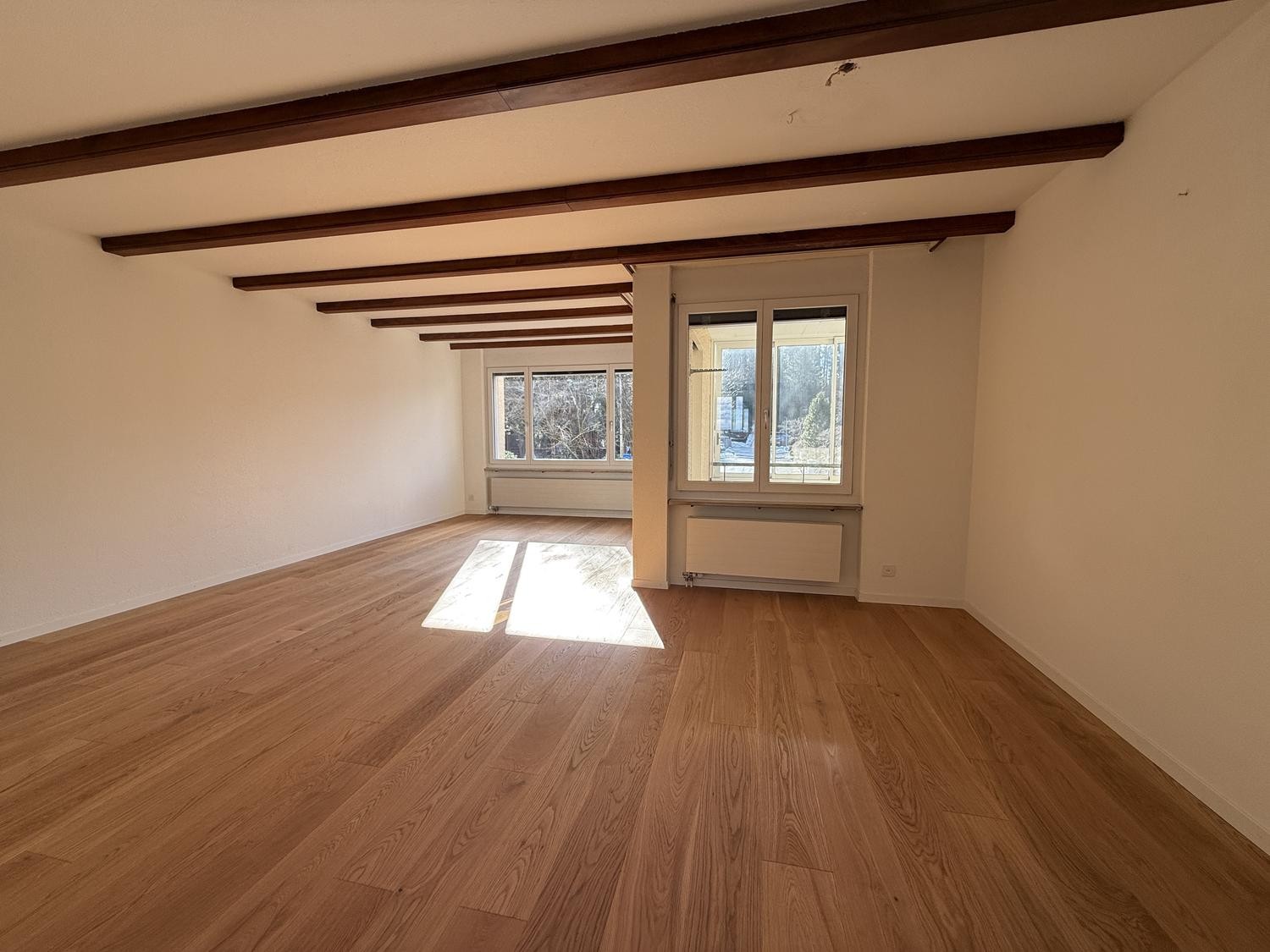 3 ½ rooms apartment