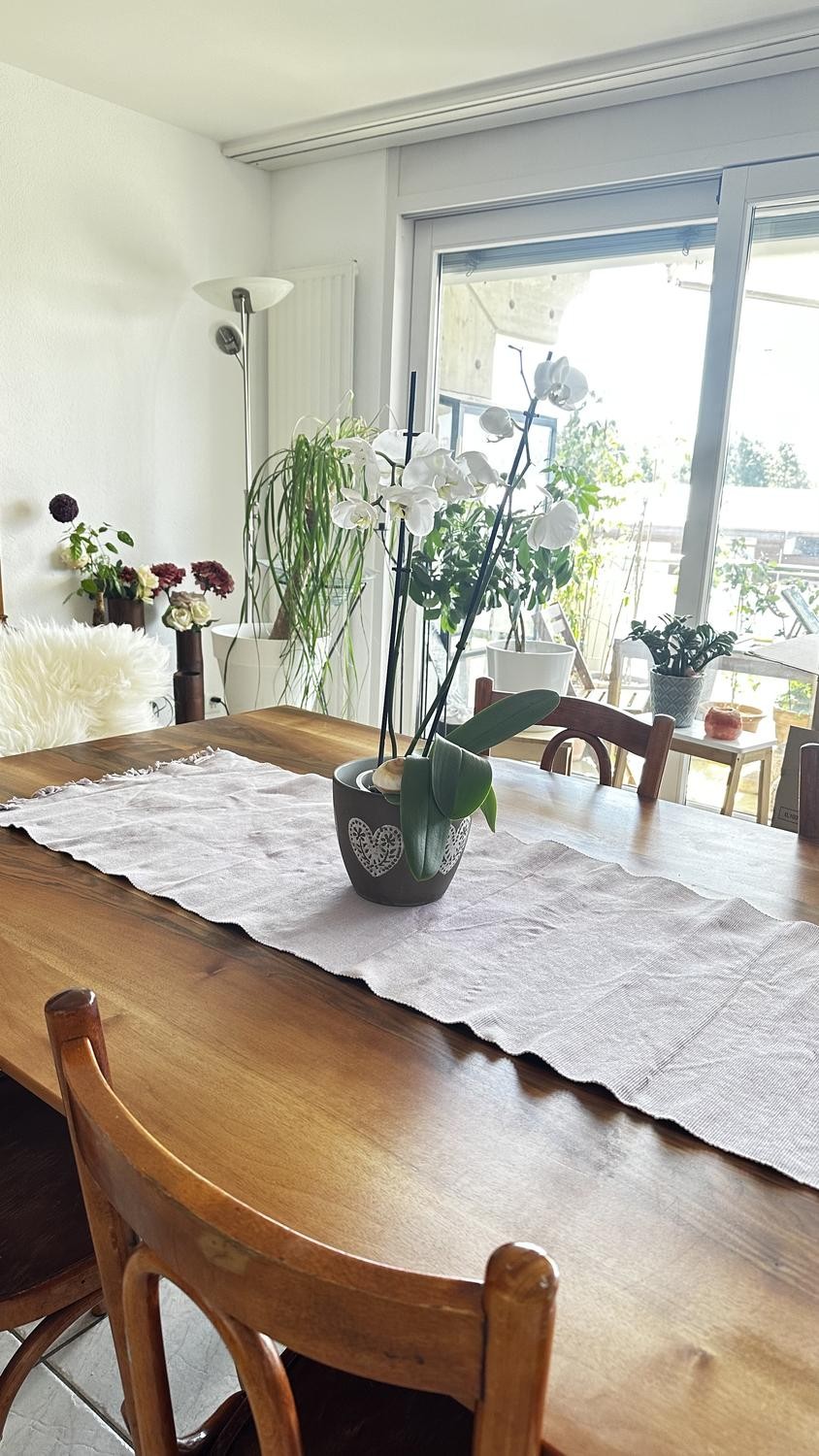 Appartamento di 4 ½ locali