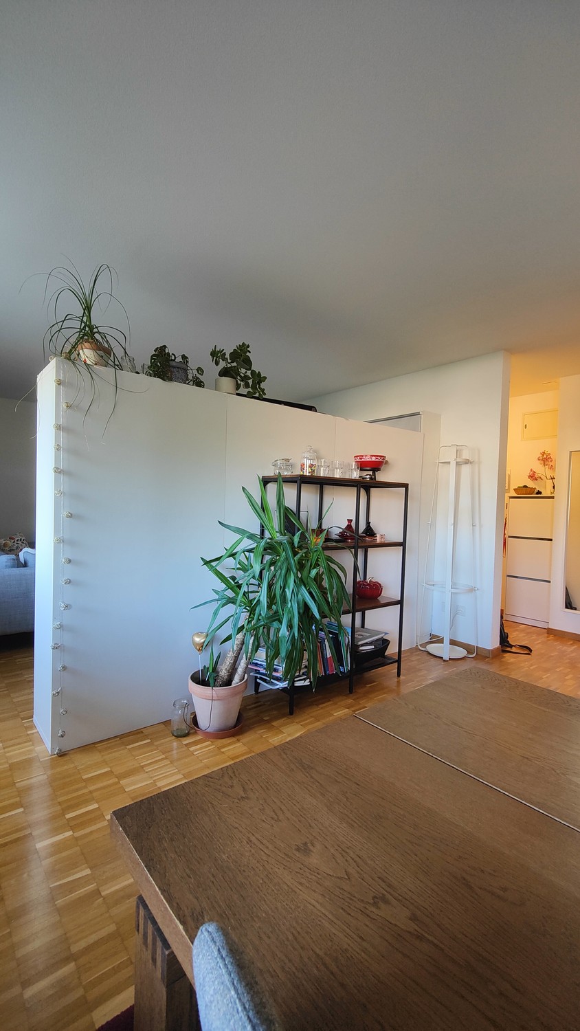 3 ½ rooms apartment