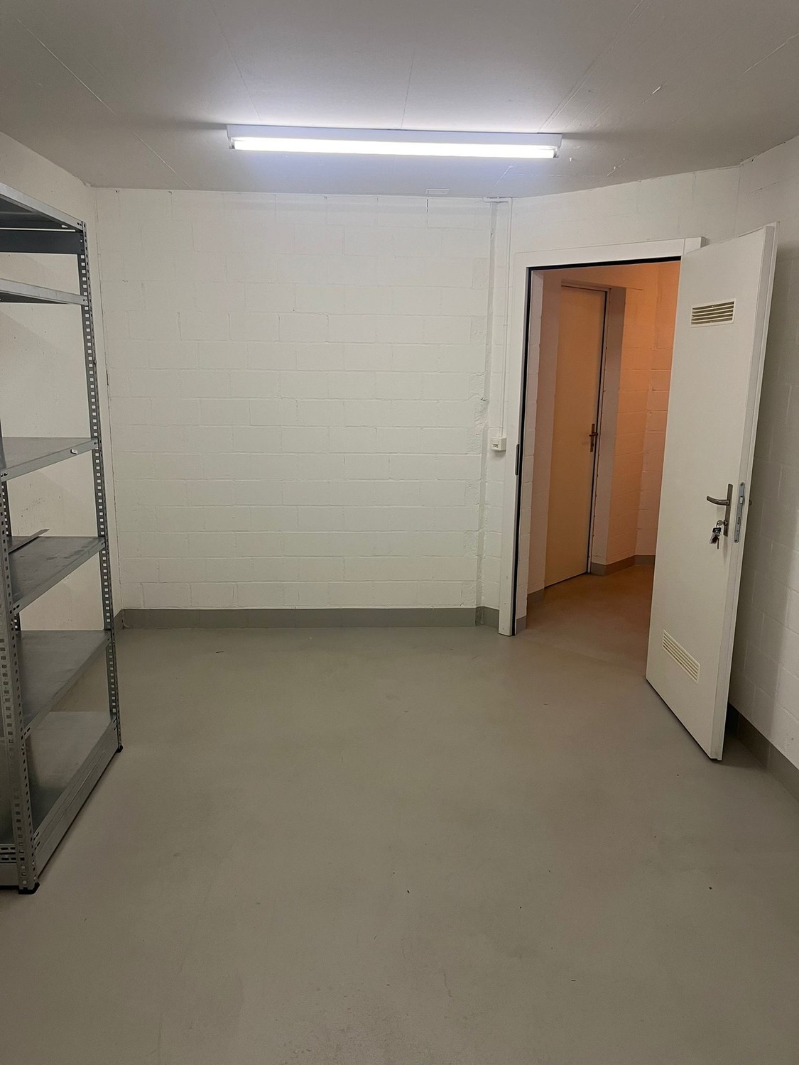 Grande locale di magazzino in affitto a Lupfig con allacciamento elettrico e finestra