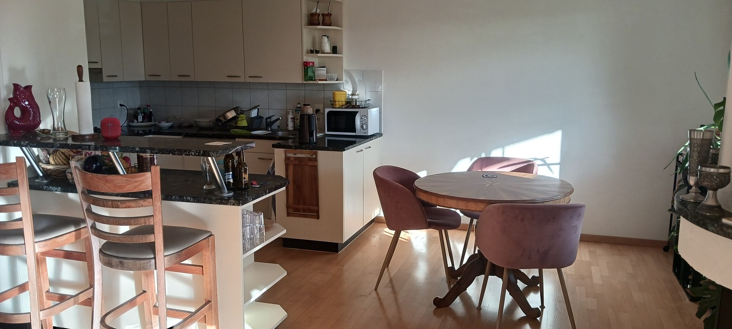 Appartamento di 4 ½ locali