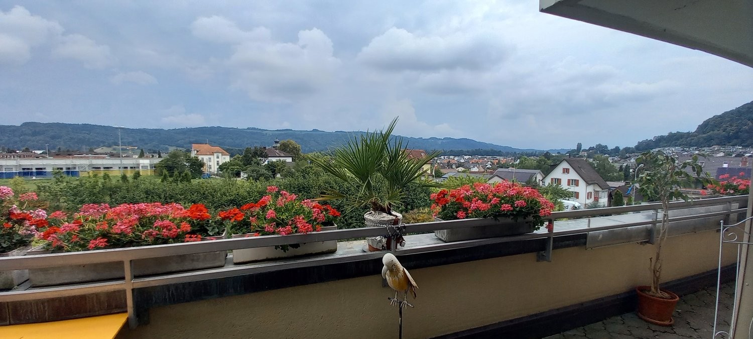 Appartamento arredato di 3 ½ locali
