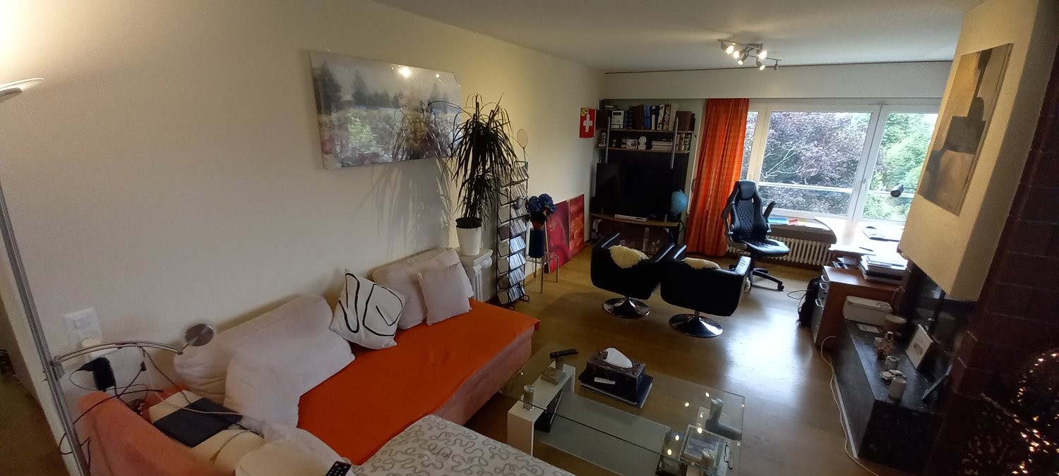 Appartamento arredato di 3 ½ locali