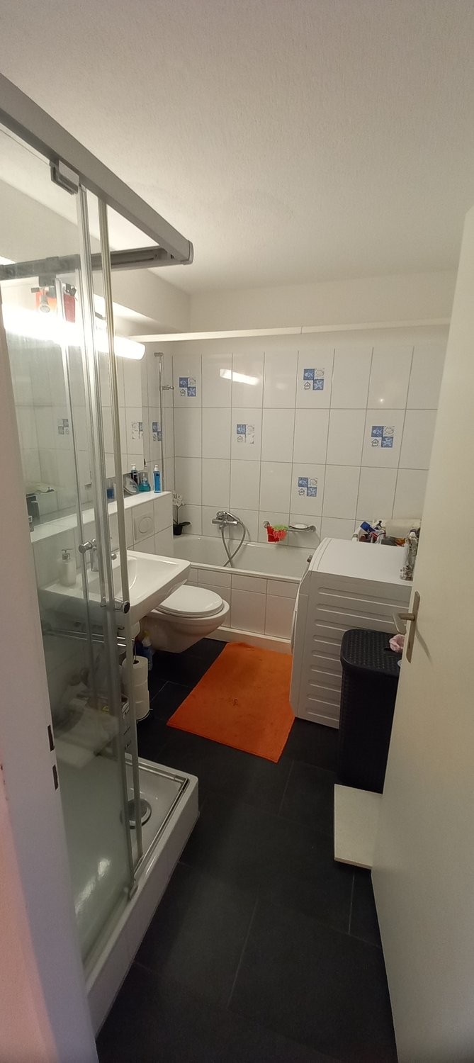 Appartamento arredato di 3 ½ locali