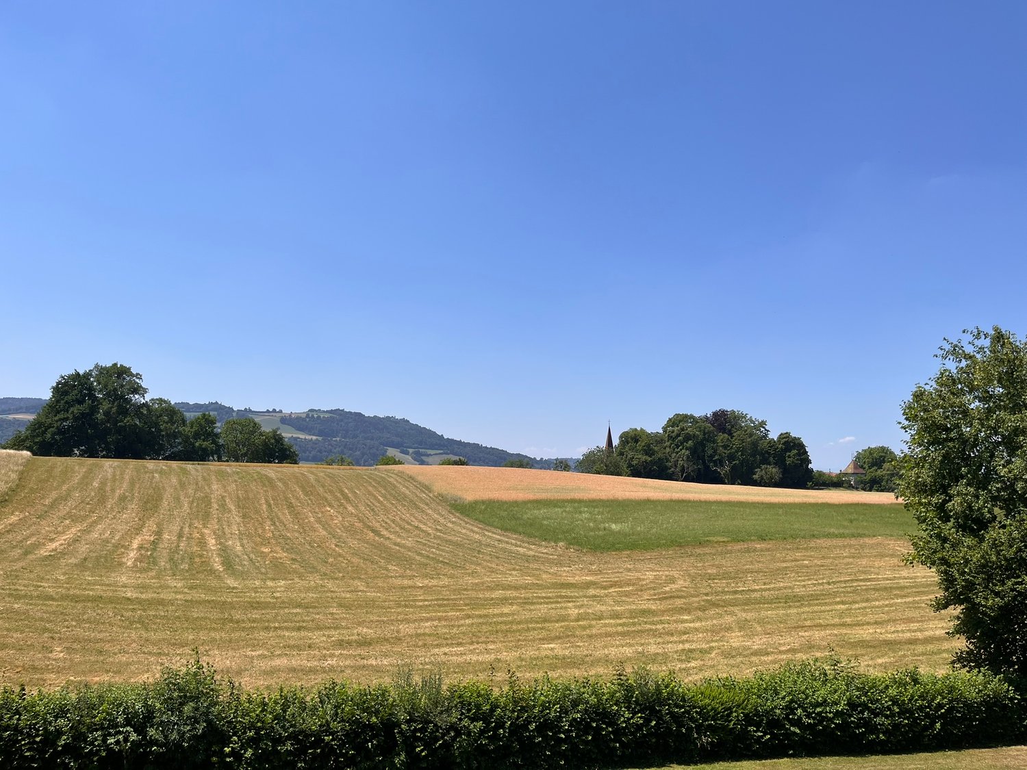 Appartamento di 4 ½ locali