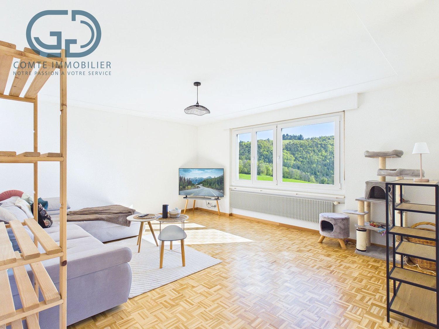 4 ½ rooms apartment