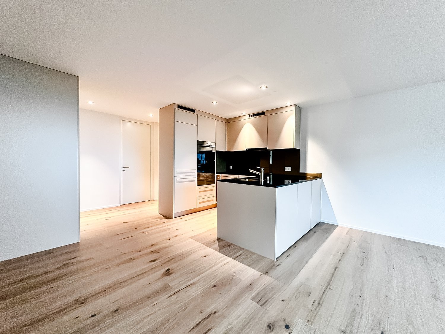 Appartement de 3 ½ pièces