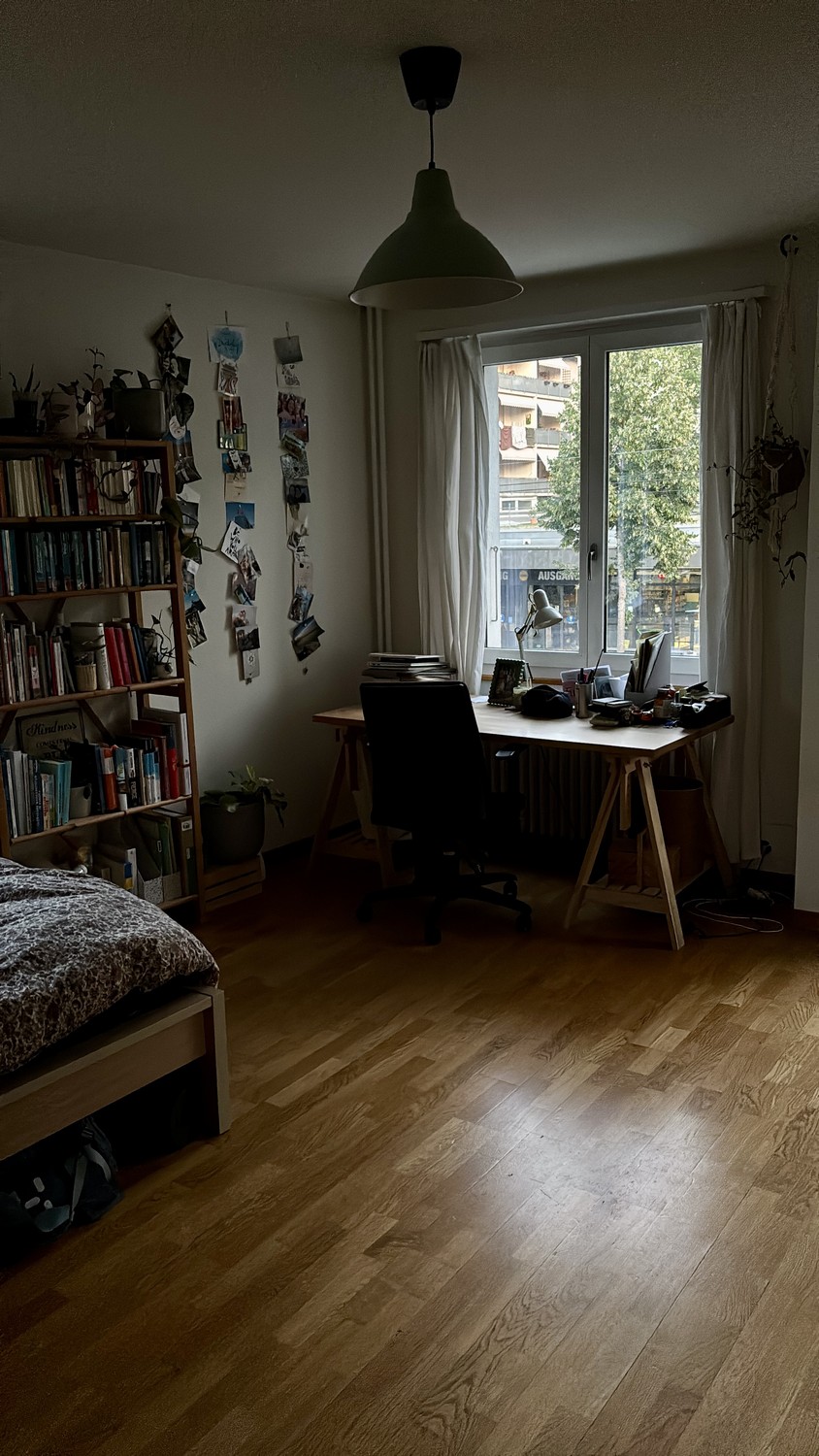 Room in a shared flat
