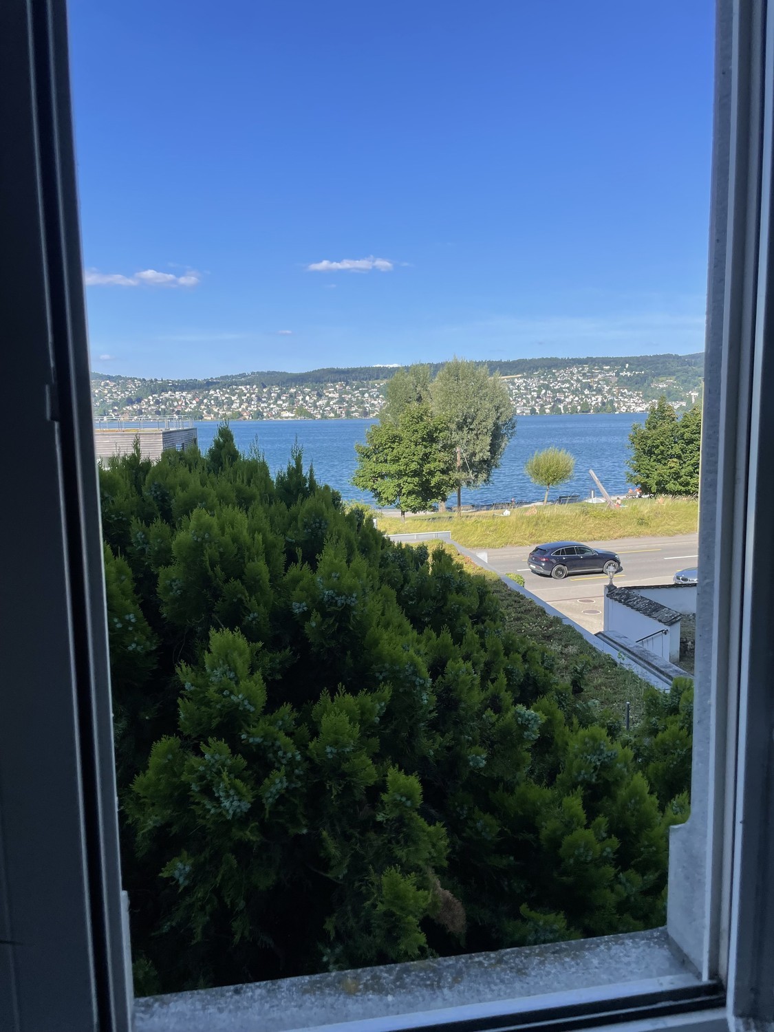 Appartamento di 2 ½ locali","description":"Accogliente appartamento open-space a Thalwil, disponibile TEMPORANEAMENTE tra il 04.09.2026 e il 28.09.2026. 
Le date esatte possono essere discusse (e il prezzo dell'affitto proporzionato). 
 
7 minuti dalla stazione ferroviaria di Thalwil, 10 minuti dall