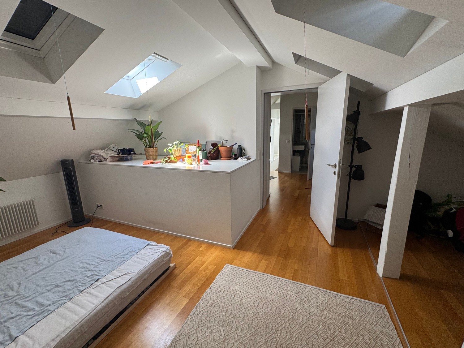Room in a shared flat