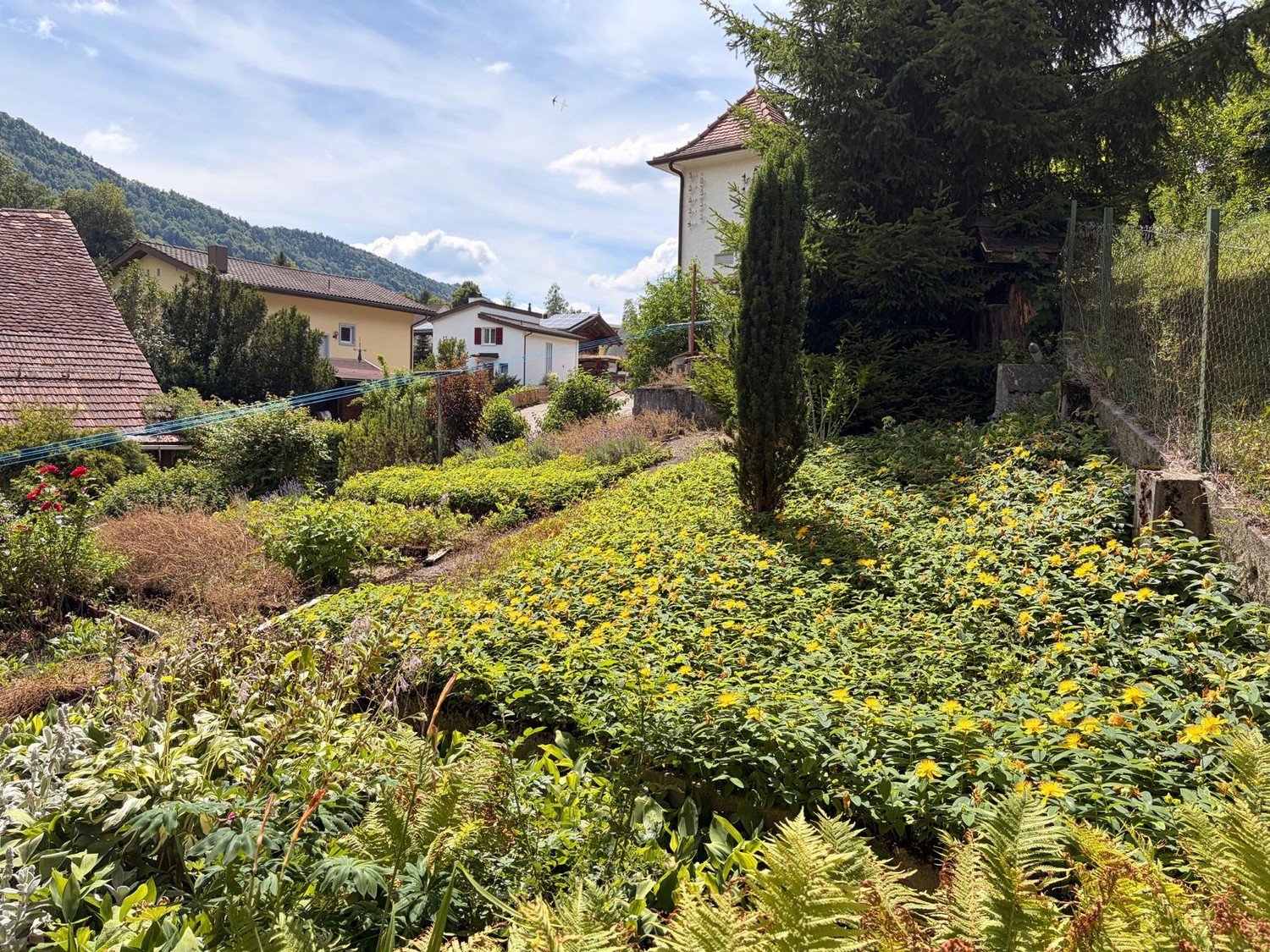 Casa singola di 7 ½ locali