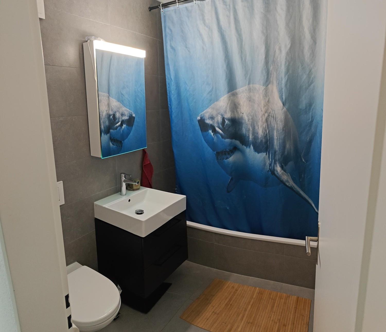 Appartement de 3 ½ pièces