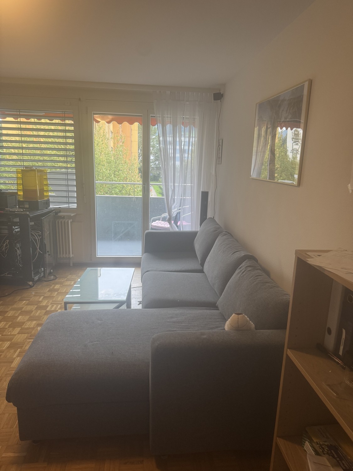 Room in a shared flat