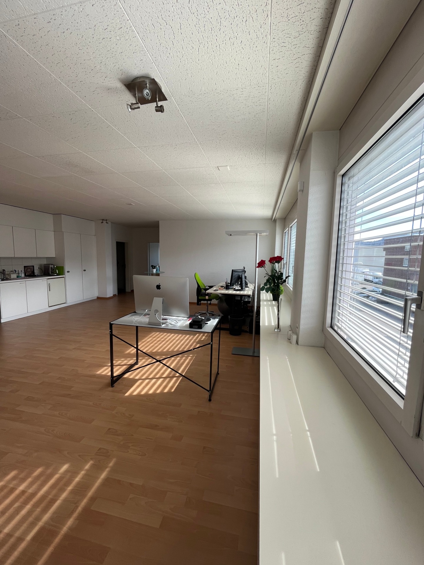 102m² commerciale