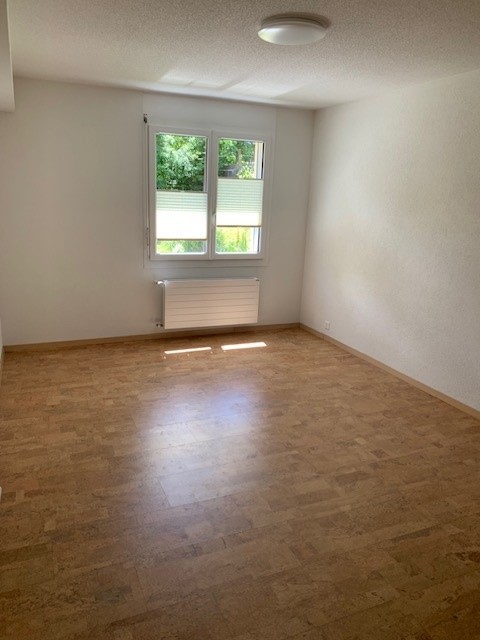 Appartamento di 4 ½ locali