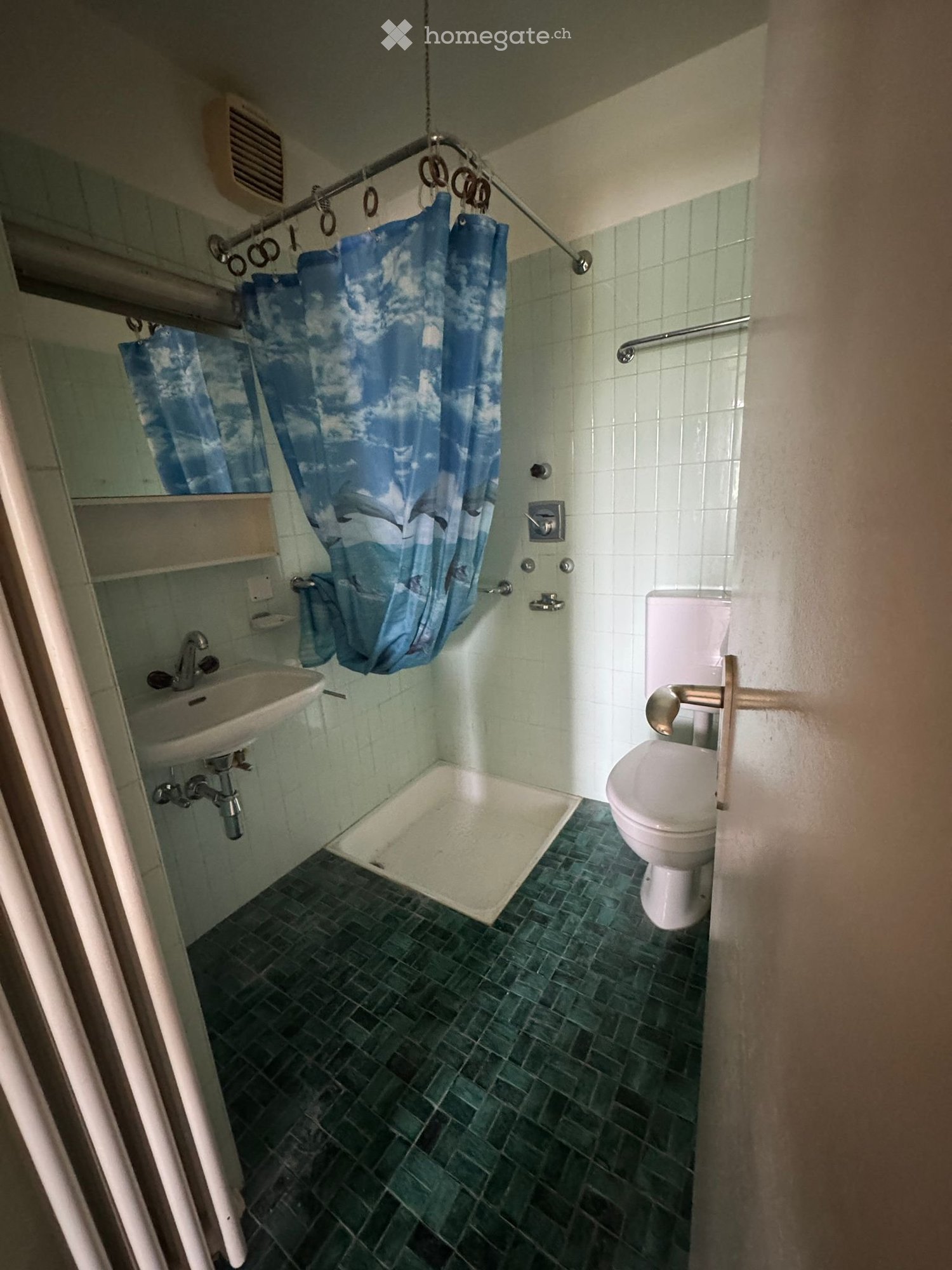 2 ½ Zimmer Wohnung