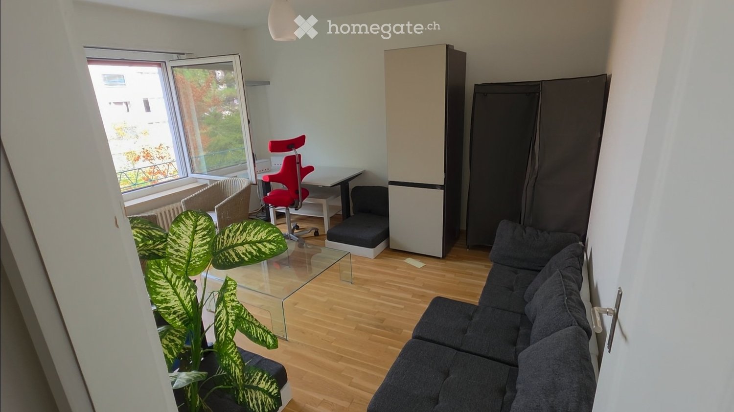 1 room single room
