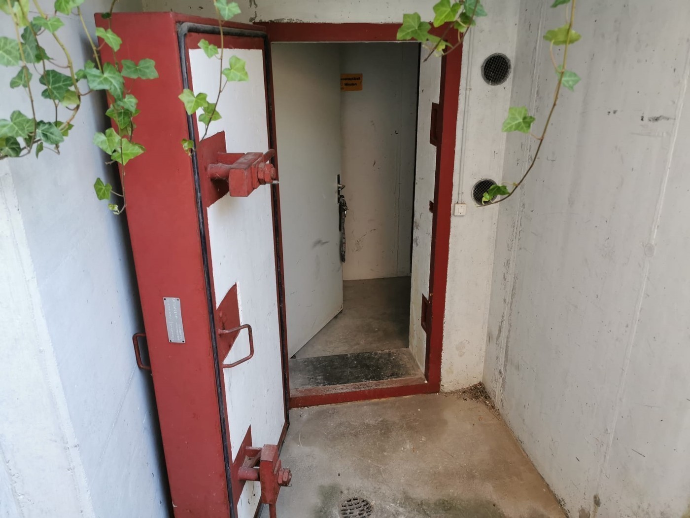 Cellar compartment