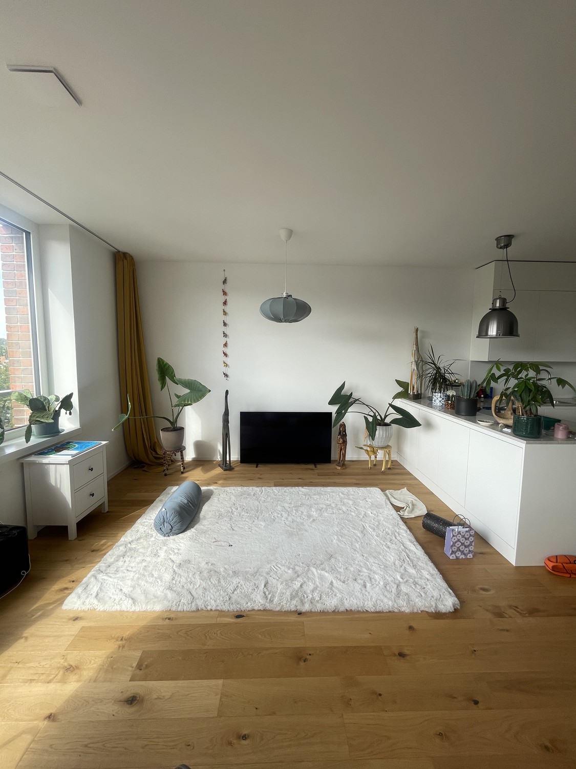 Appartement de 2 ½ pièces