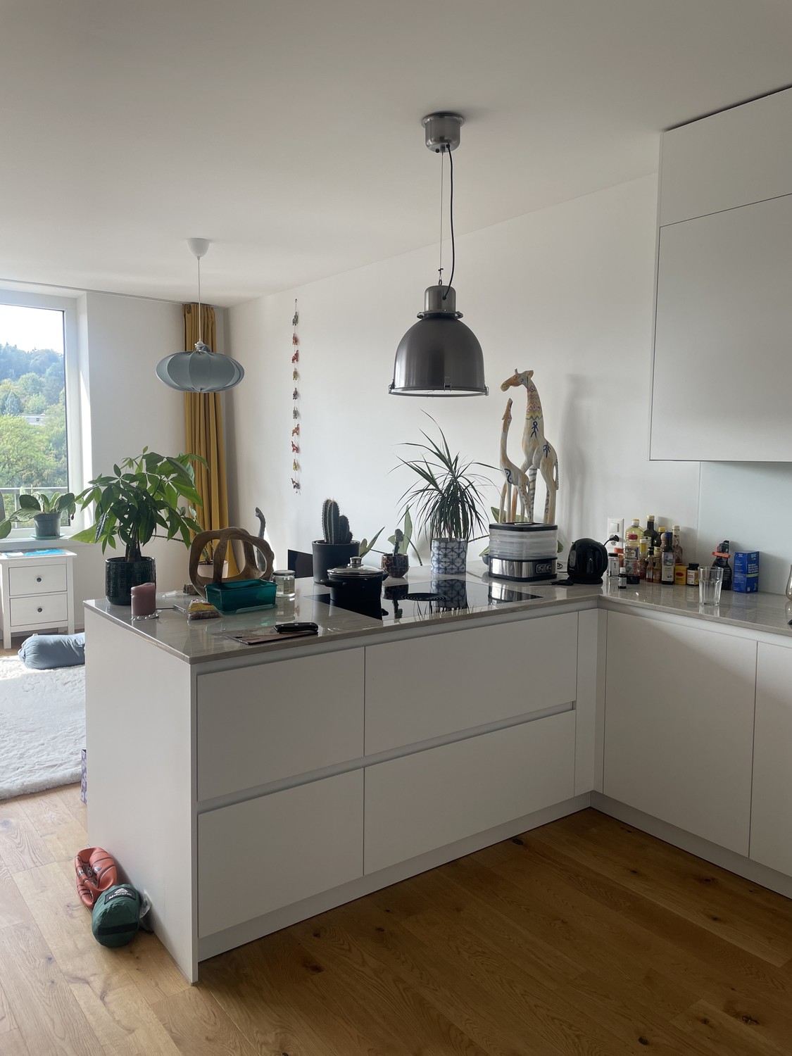 Appartement de 2 ½ pièces