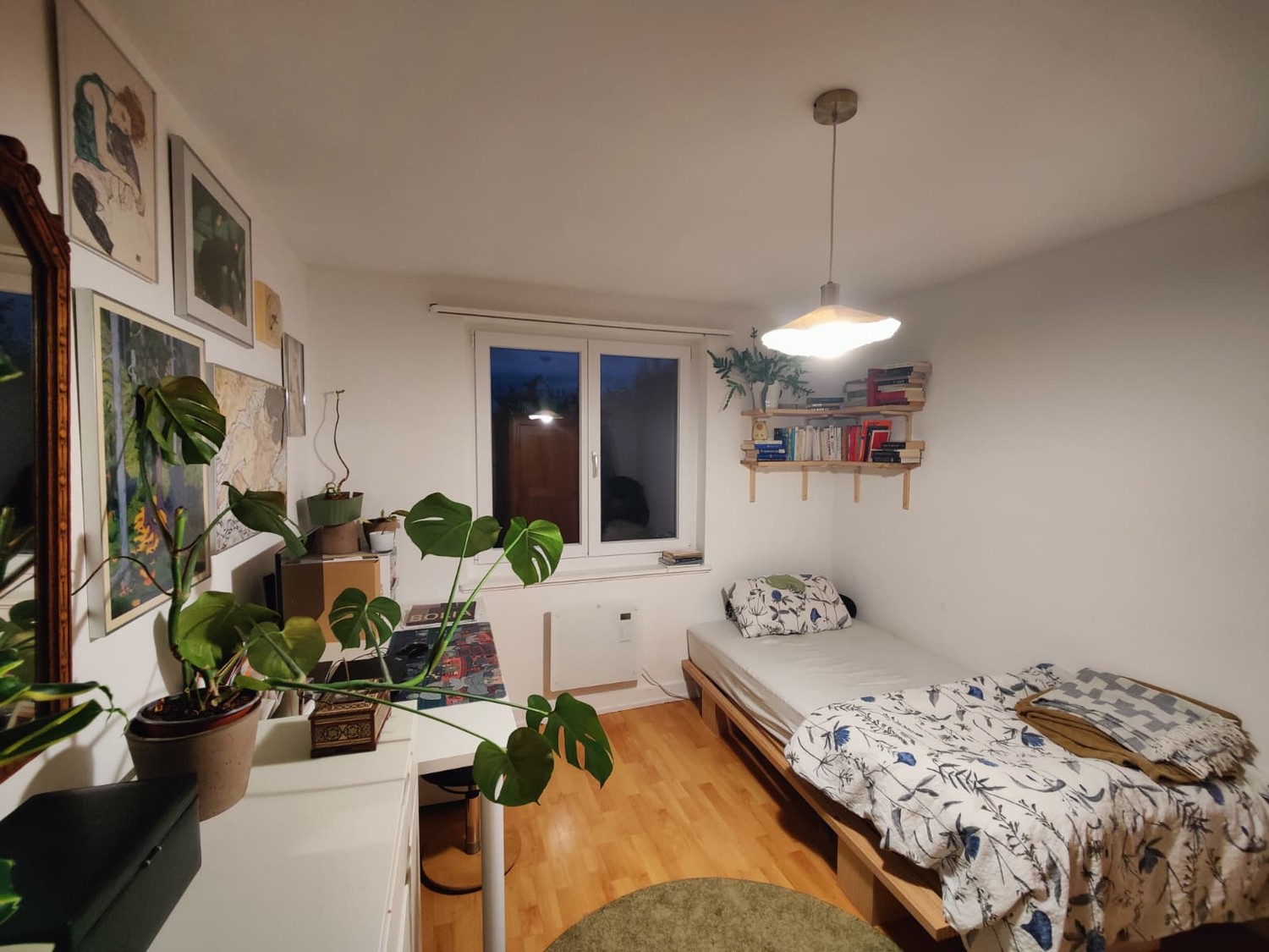 Stanza in un appartamento condiviso