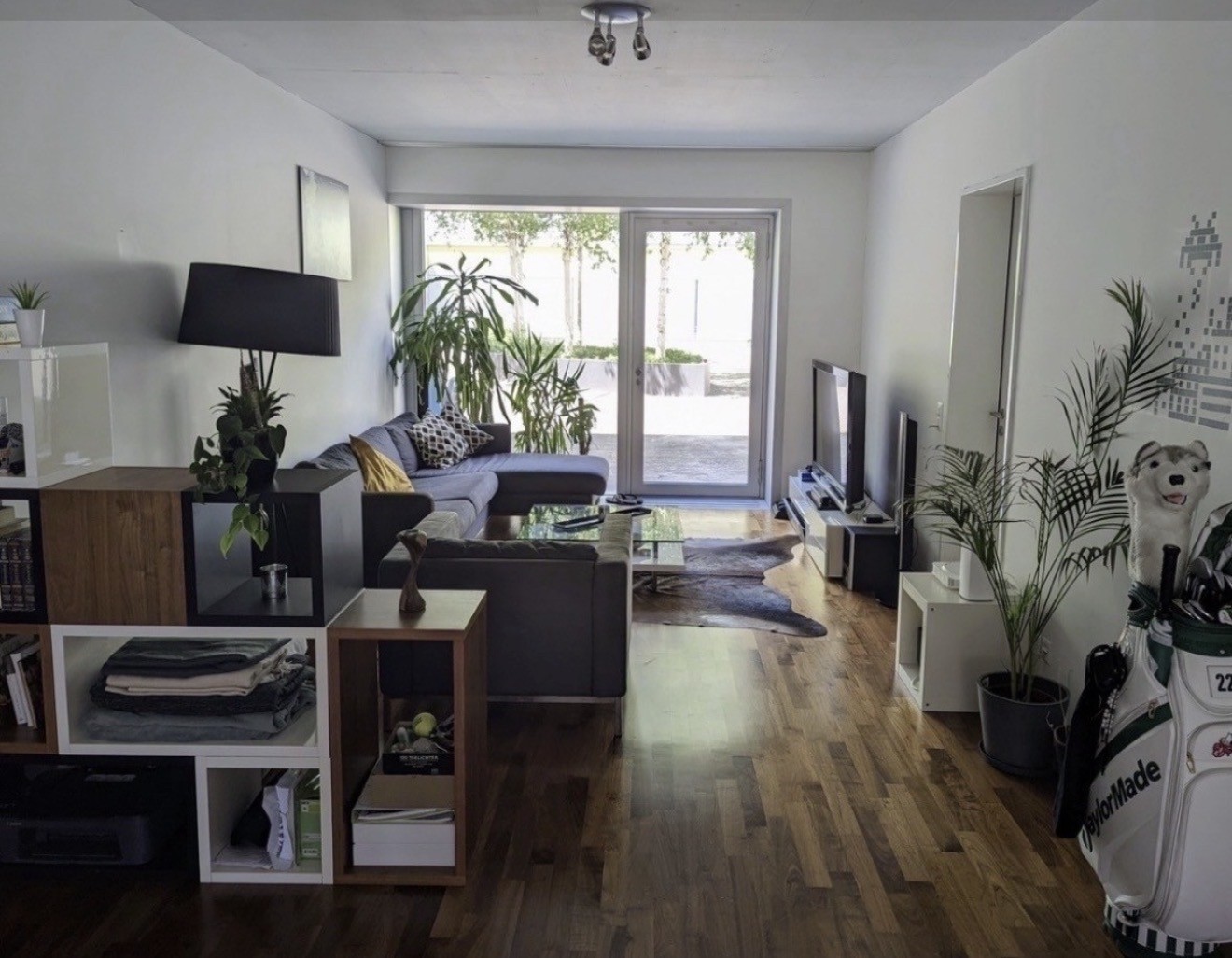 Room in a shared flat