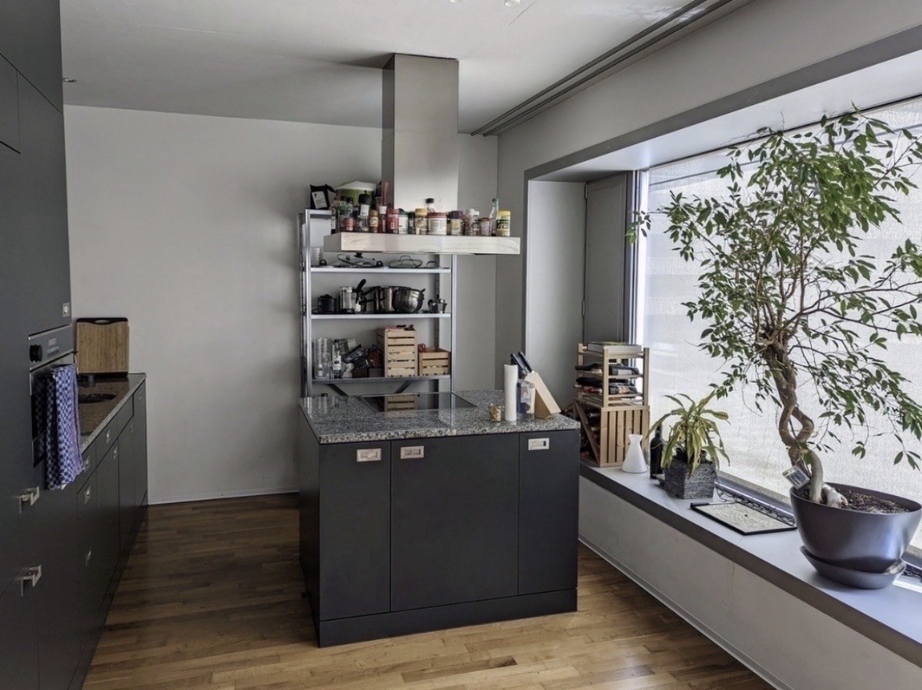 Room in a shared flat