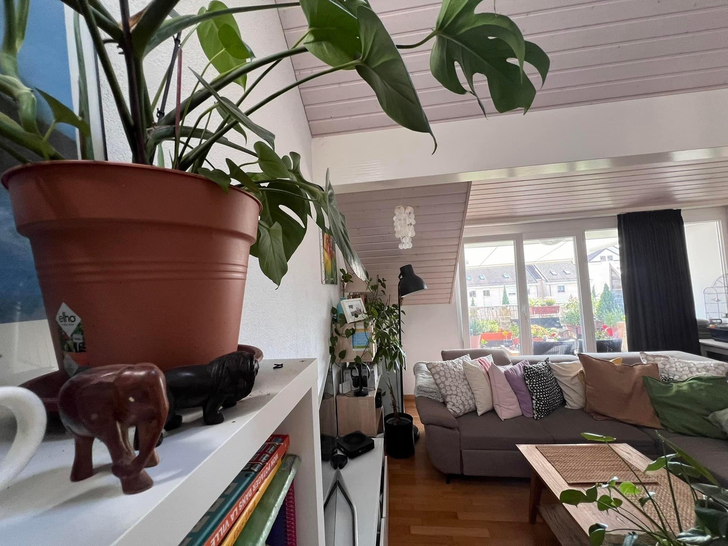 Room in a shared flat