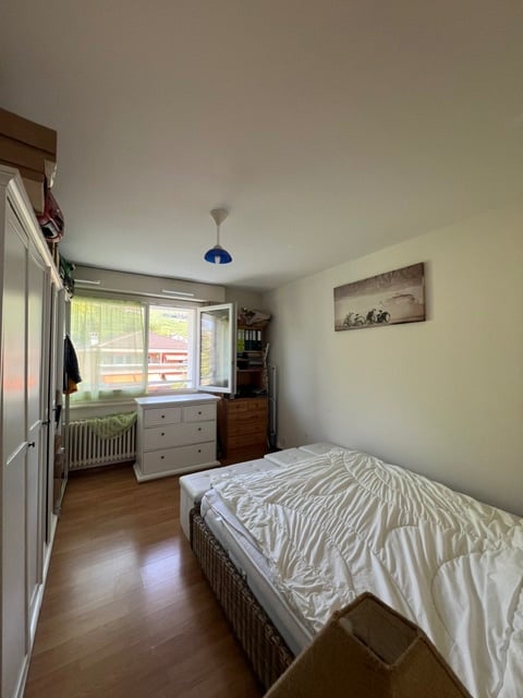 2 ½ Zimmer Wohnung