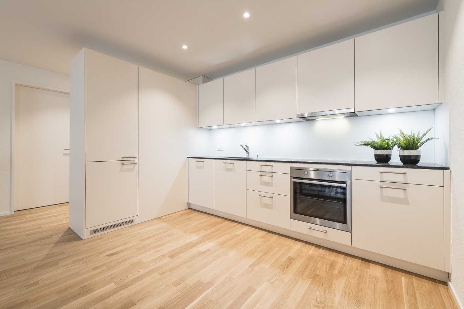 2 ½ rooms apartment