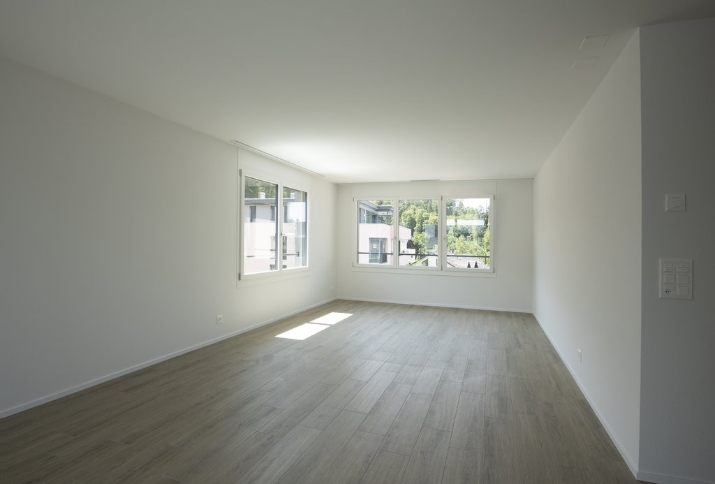 3 ½ locali appartamento in mansarda