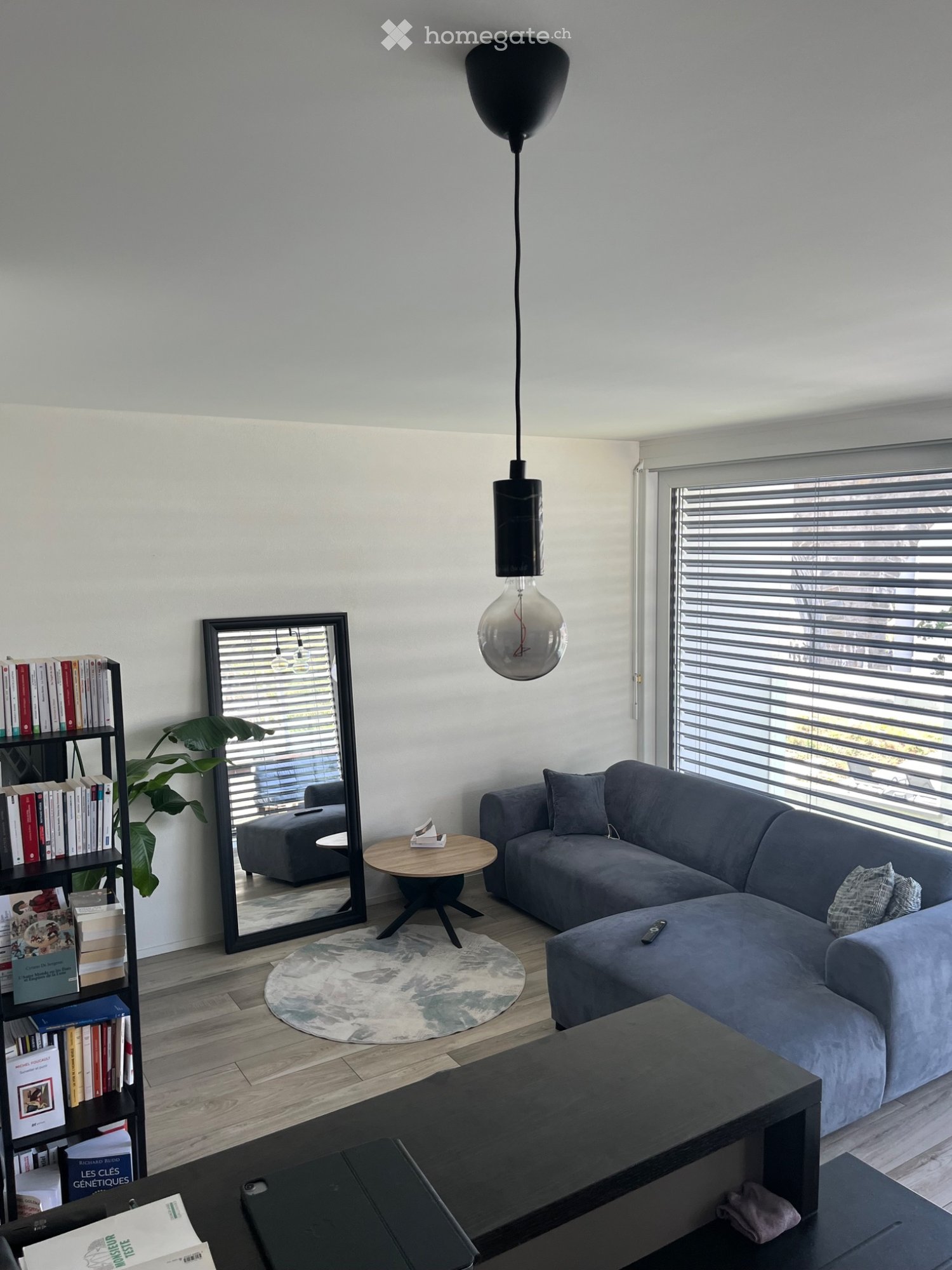 3 Zimmer Wohnung