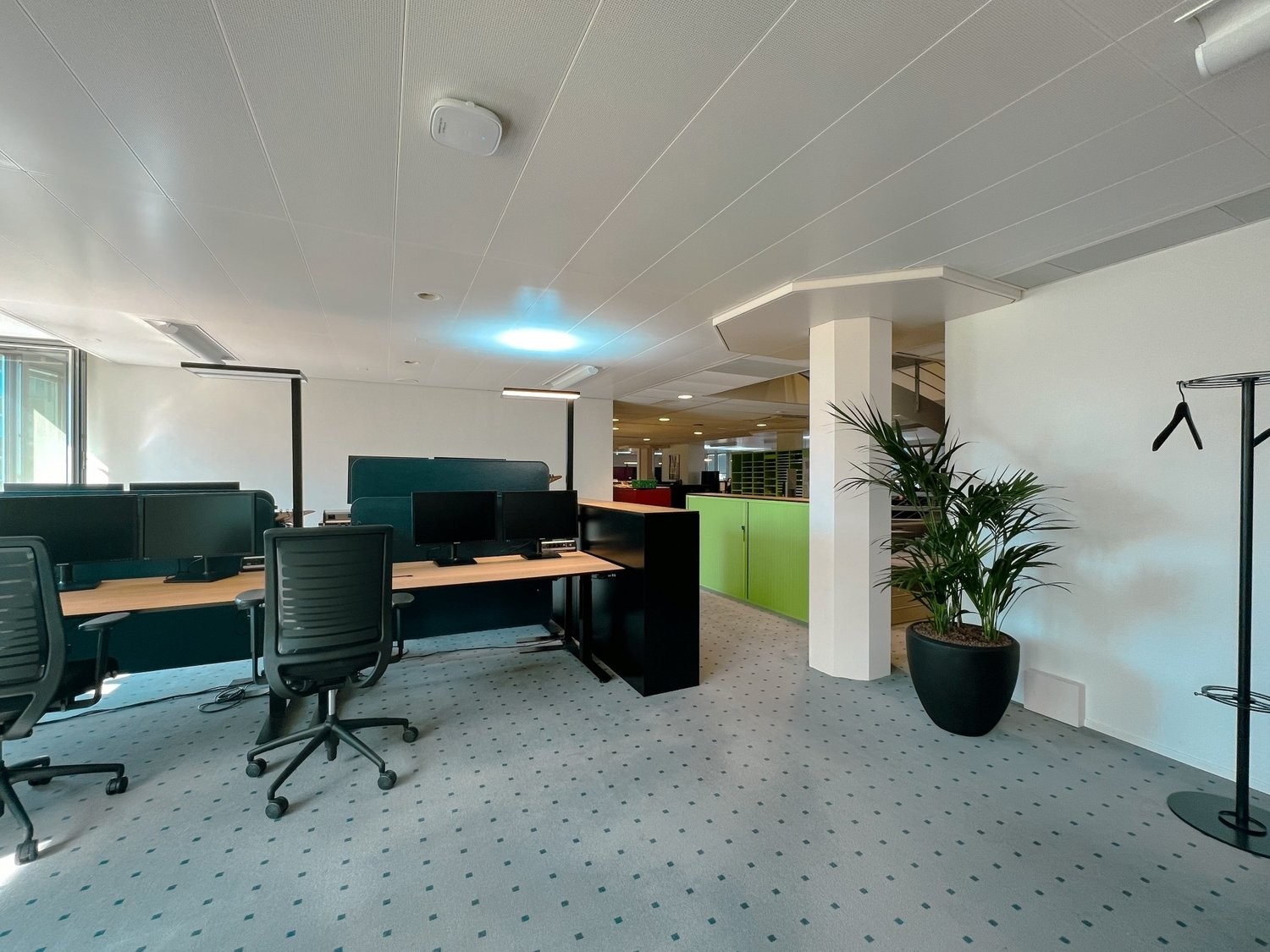 644m² commercial