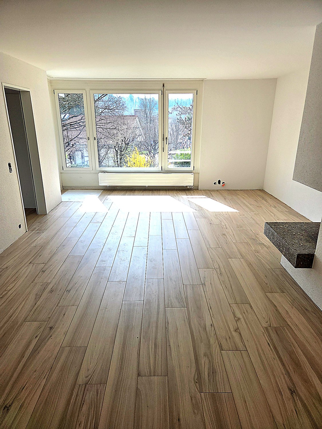3 ½ Zimmer Wohnung