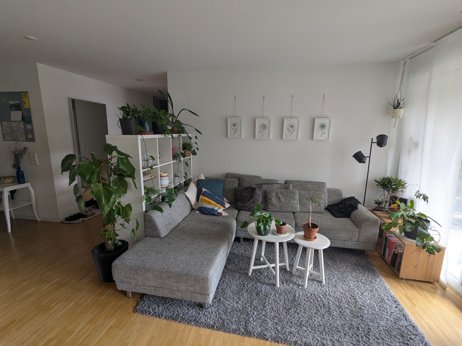 Room in a shared flat