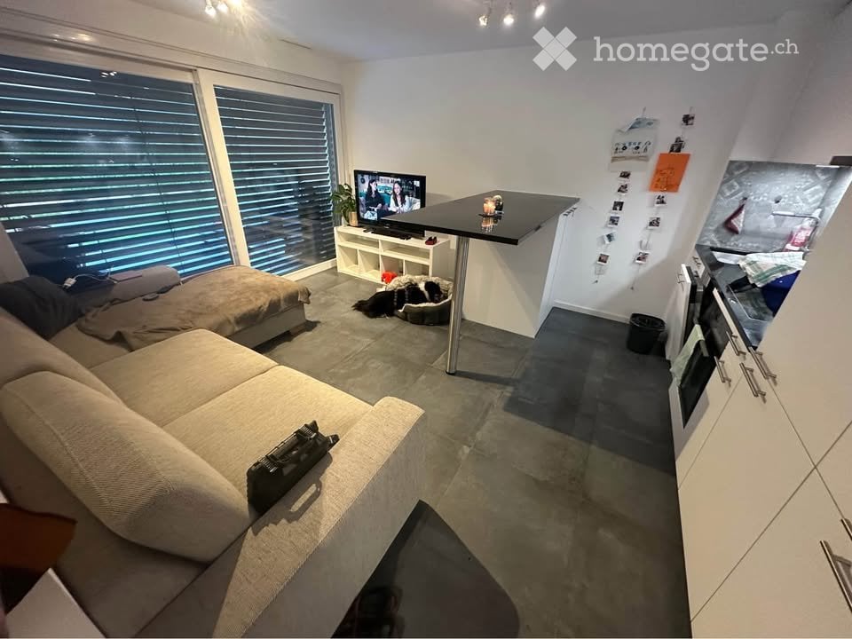 2 ½ rooms apartment