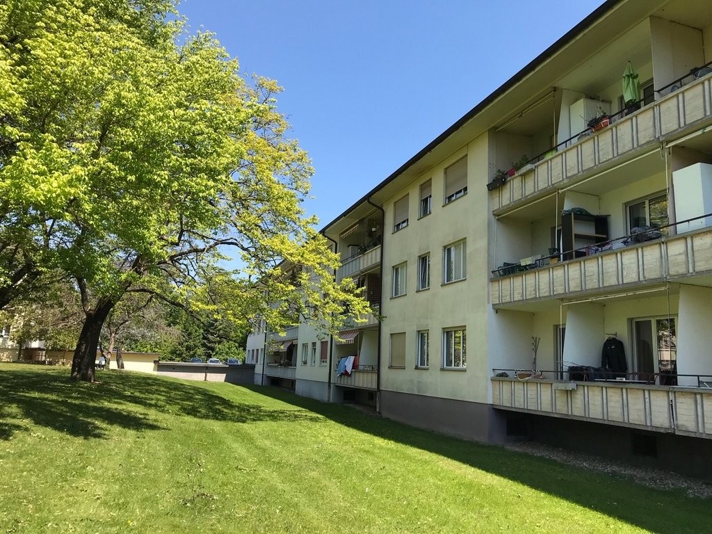 3 rooms apartment