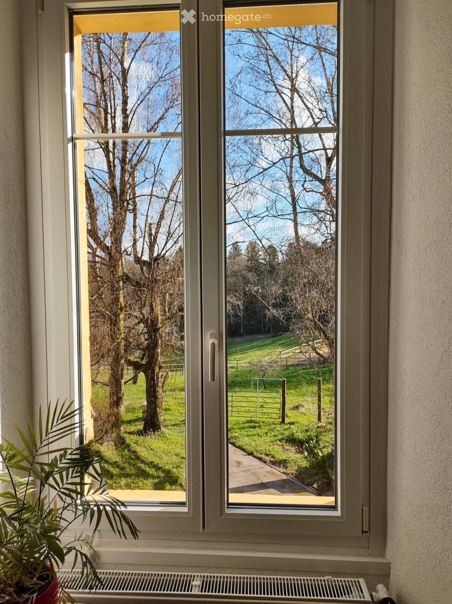 3 ½ Zimmer Wohnung