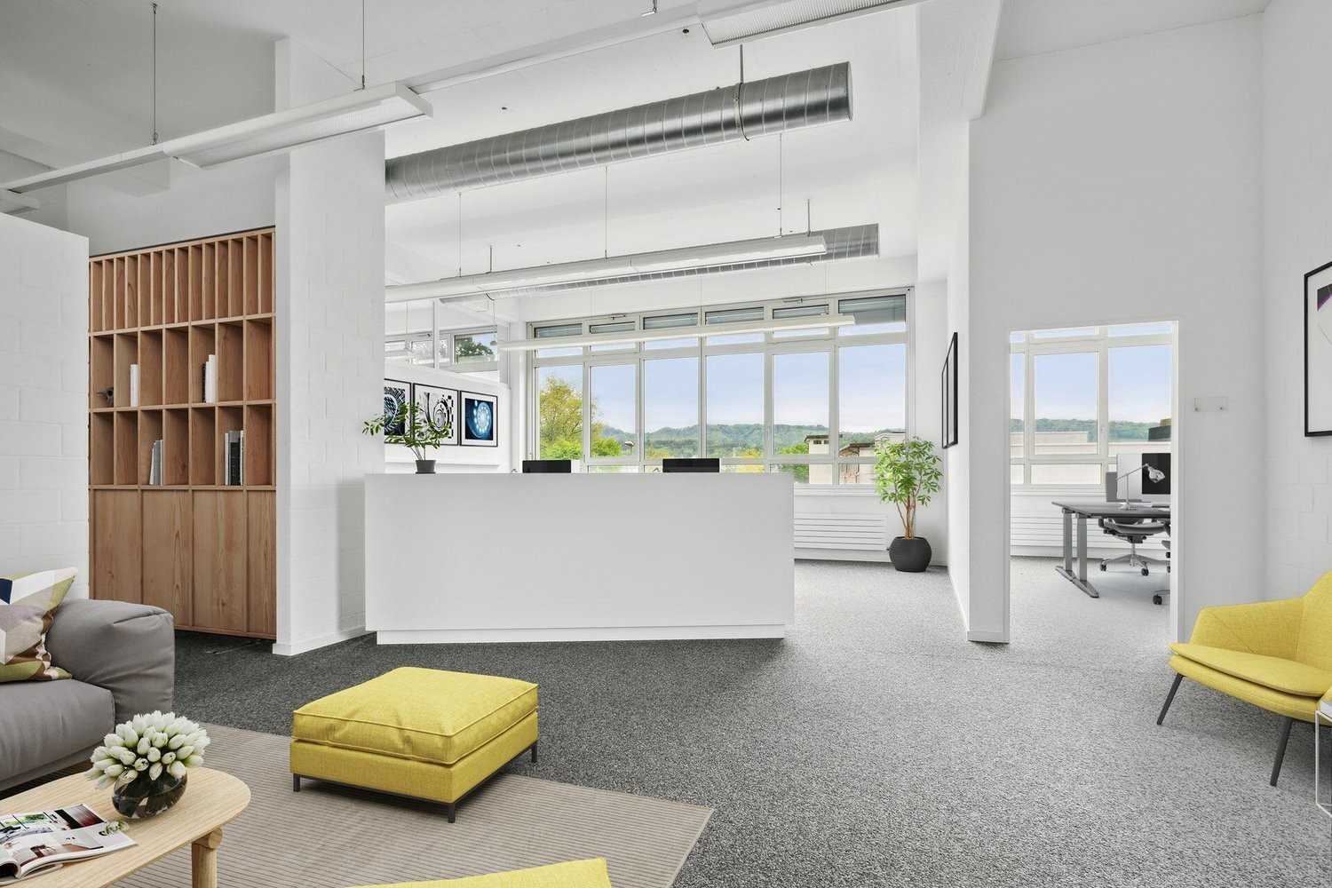 749m² commerciale