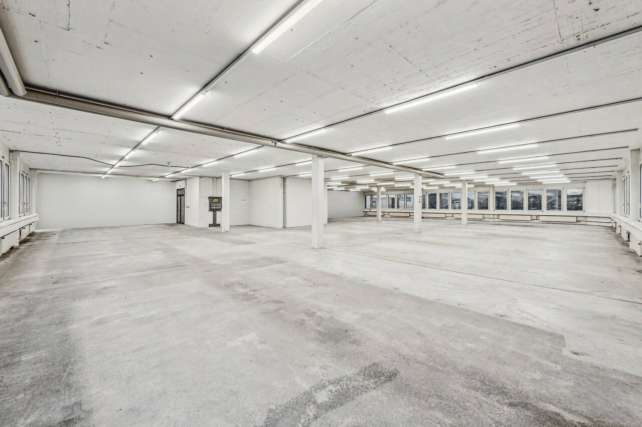 631m² commercial