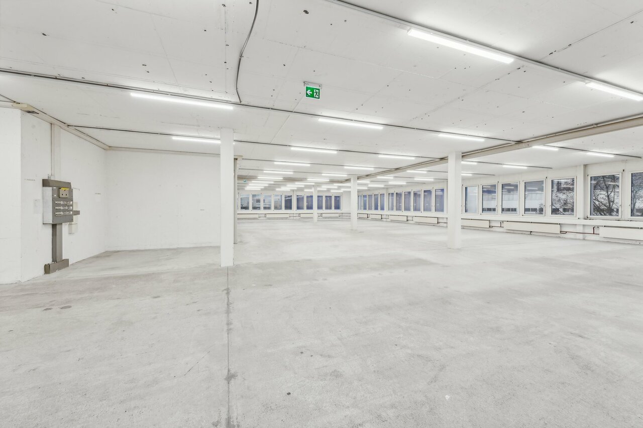 631m² commercial