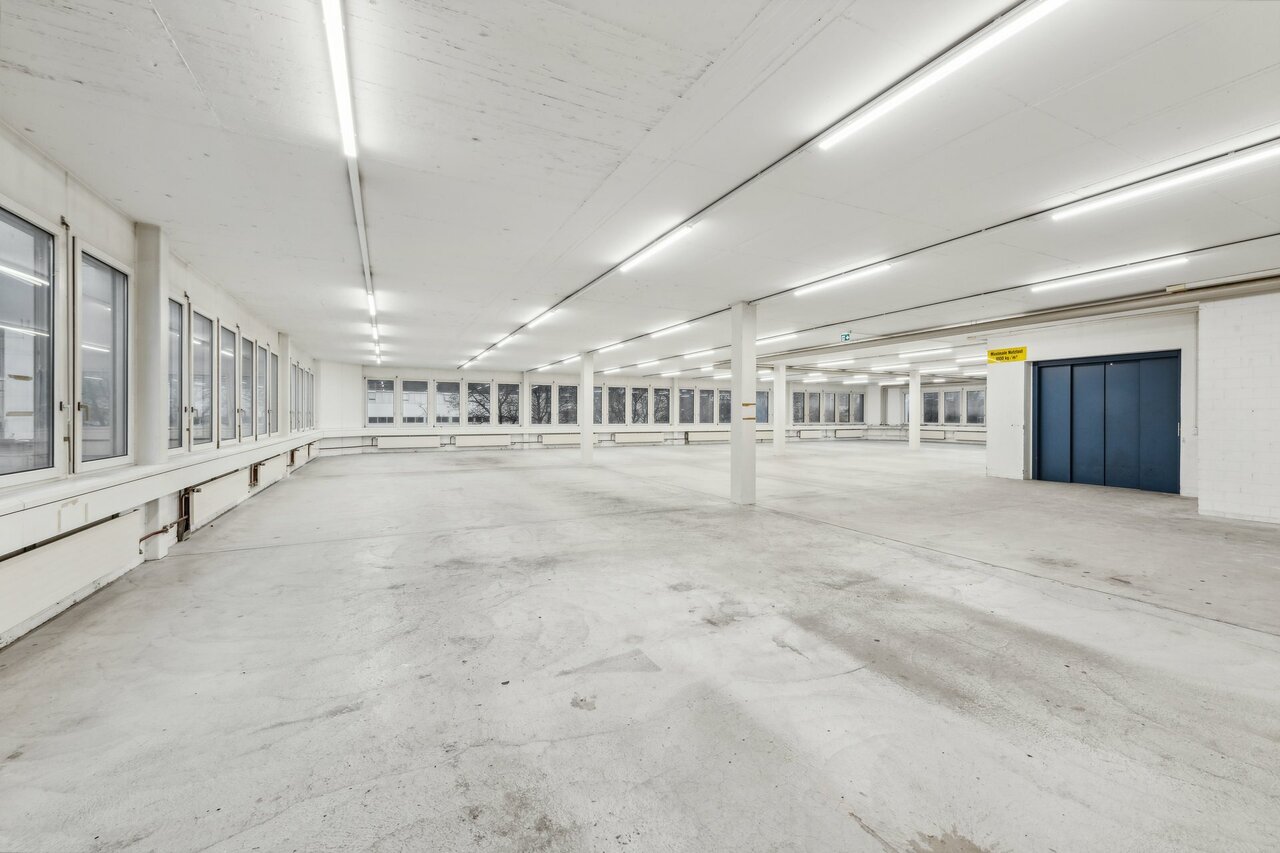 631m² commercial