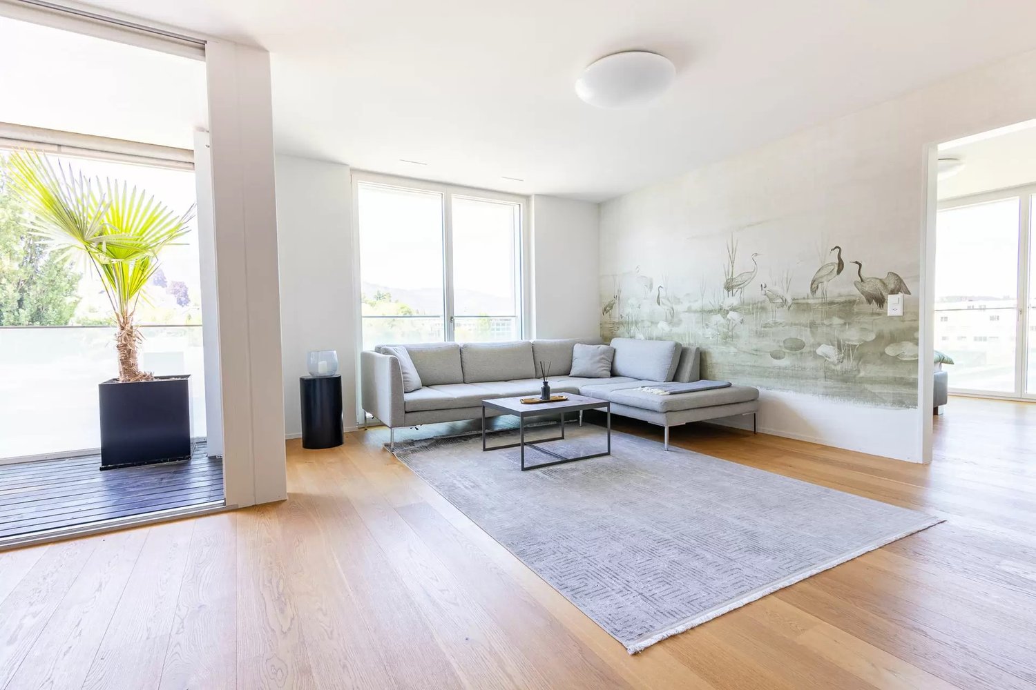 3 ½ pièces appartement meublé