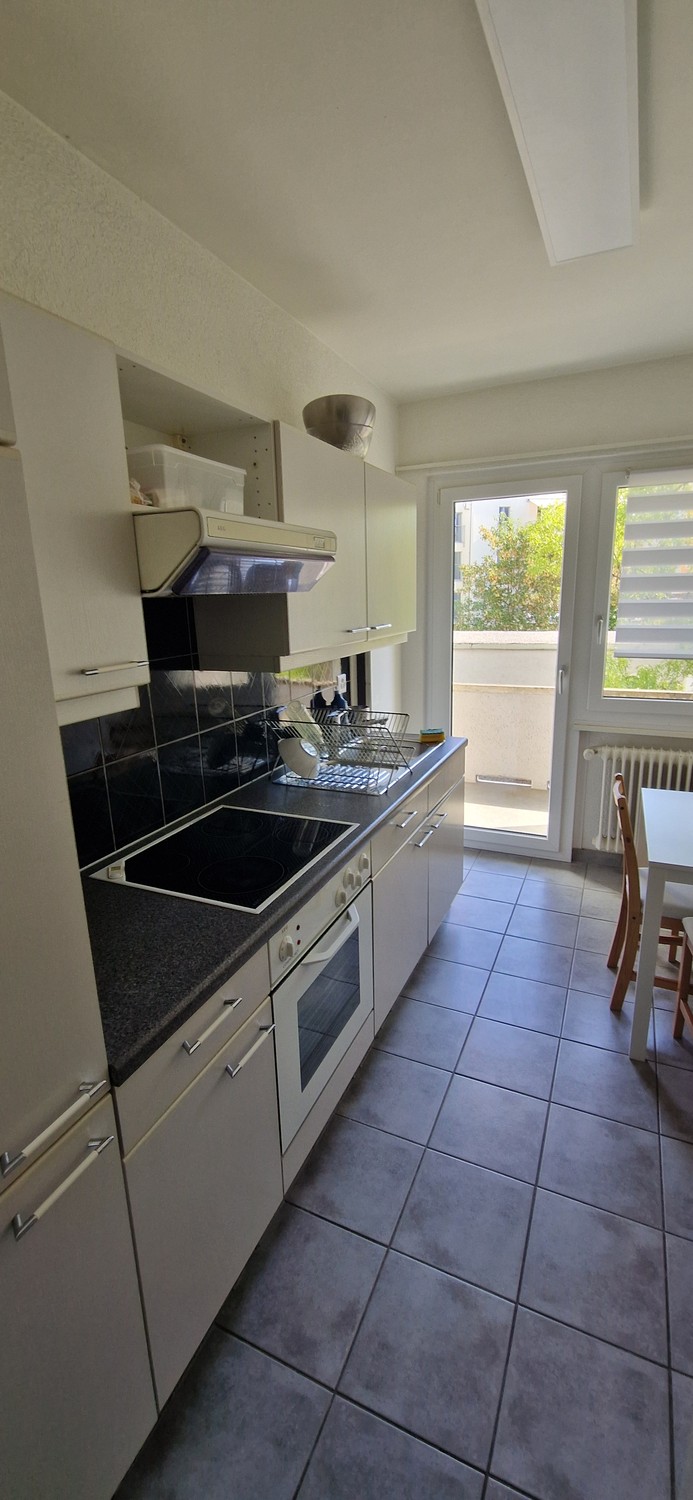 Appartamento di 3 ½ locali