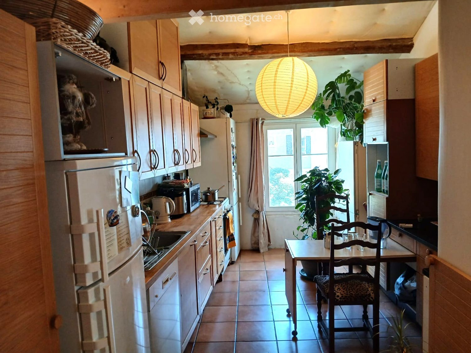 1 room single room