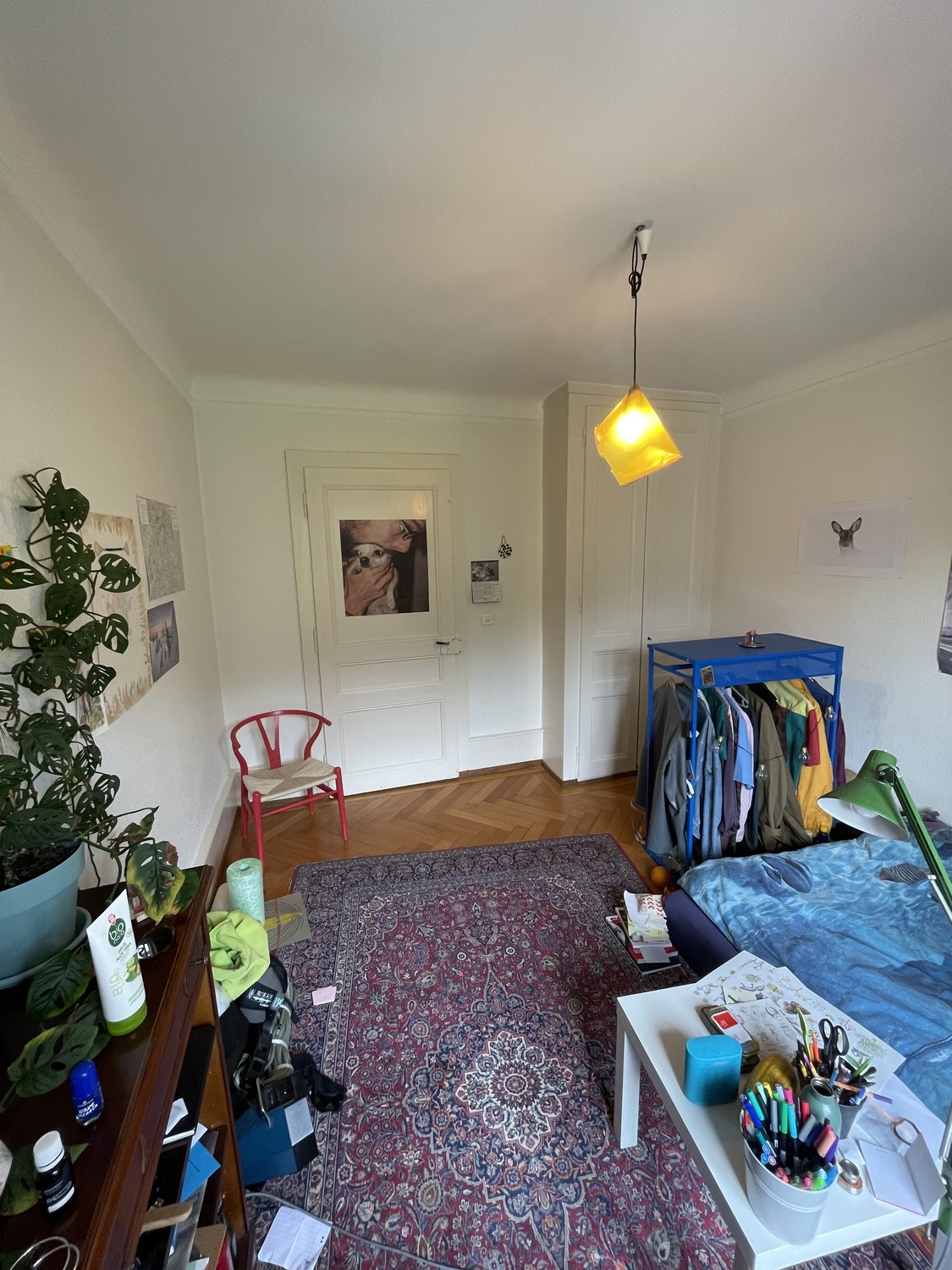 Camera in appartamento condiviso